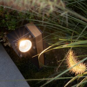 <b>Q-bic</b> <br>Royal Botania </br>