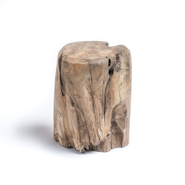 <b>Root Cylinder</b> <br>Gommaire</br>